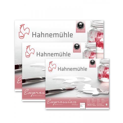 Блок для акварелі 20а 300г Expression 100% бавовна Hahnemuhle