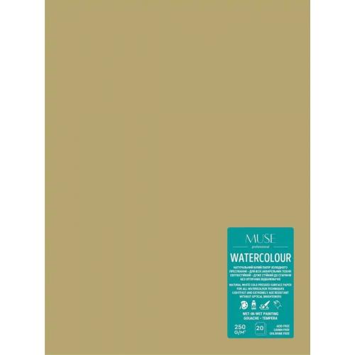 Альбом для акварелі Школярик MUSE А4 250 г/м 20 арк крафт обкладинка