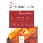 Блок для акварели Torchon rough Hahnemuhle 20л 275г